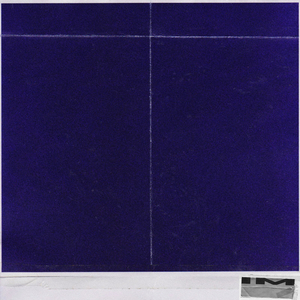 薄纱美女免费观看
