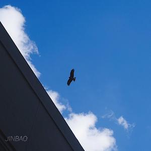 薄纱美女免费观看
