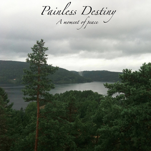 薄纱美女免费观看
